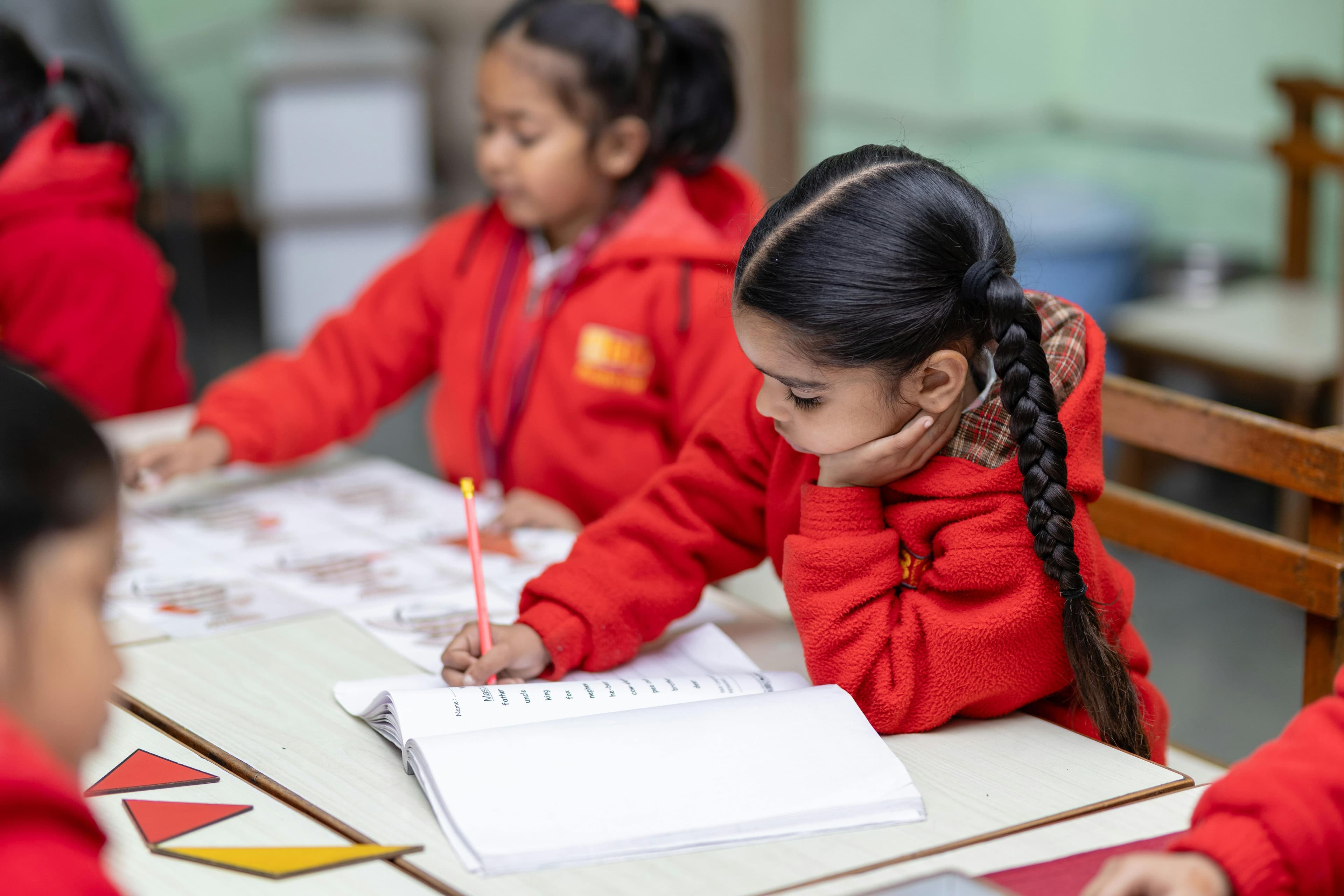 Primary Foundation Program